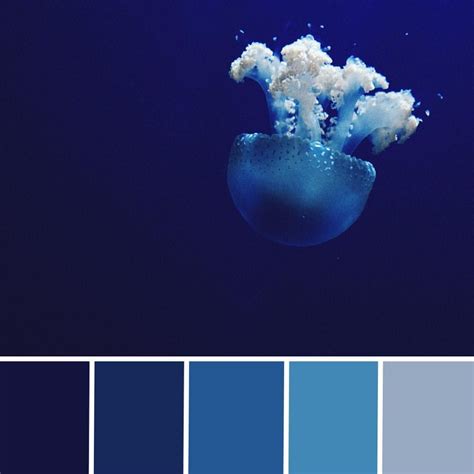 deep sea blue color.